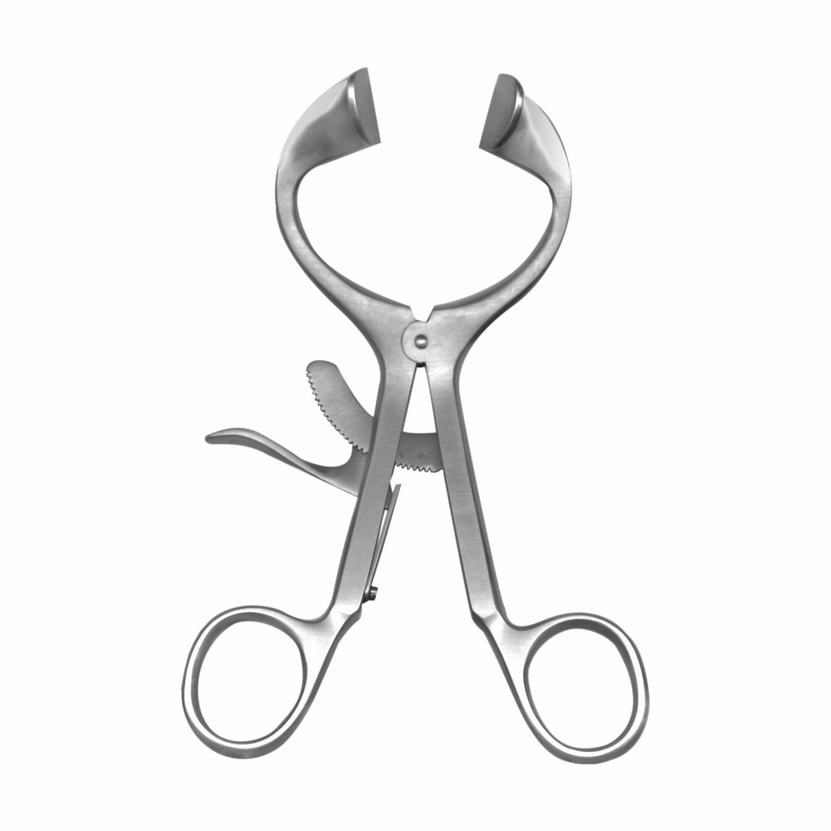 Molt Mouth Gag - Adult