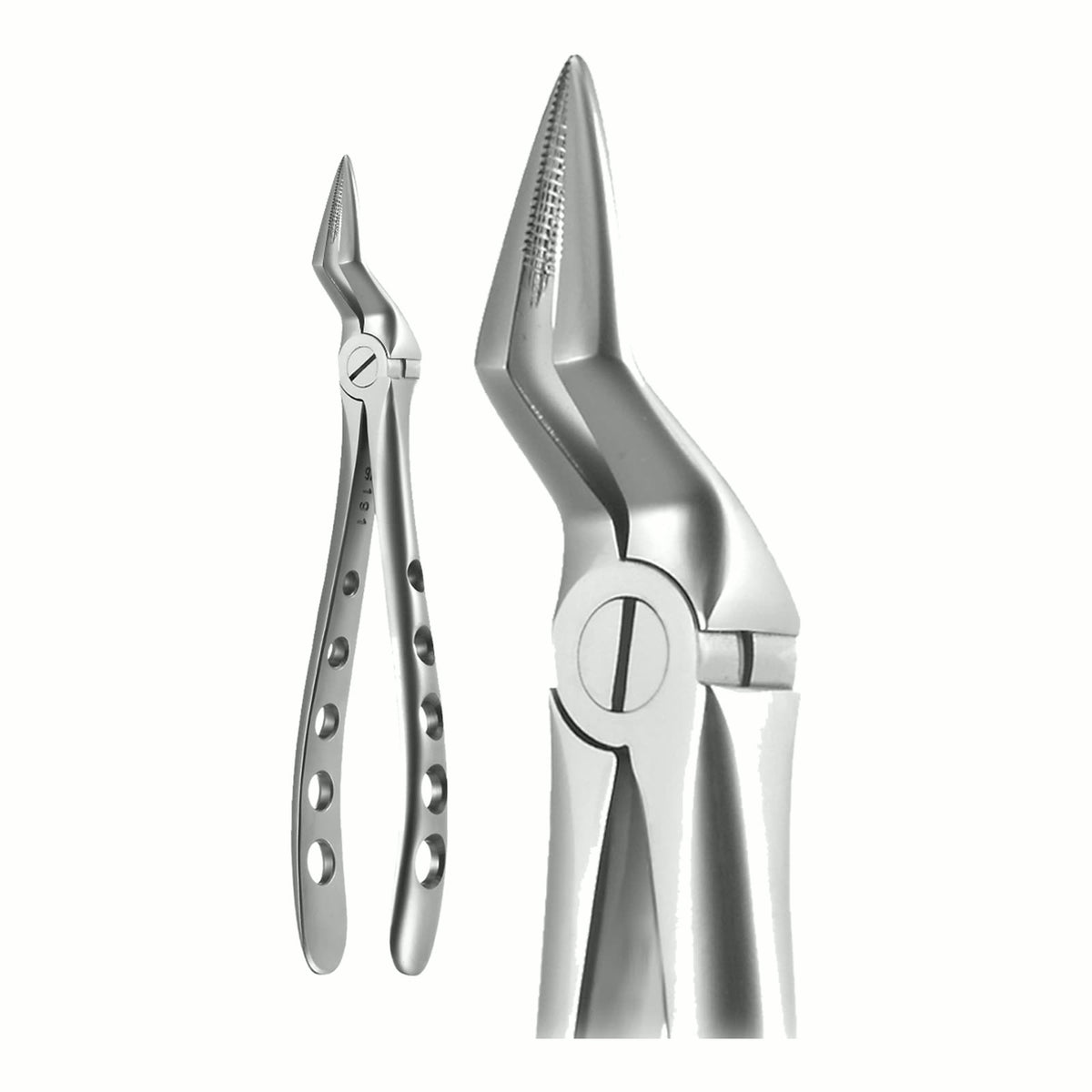Upper Root Fragment, Narrow, X-Trac Forceps