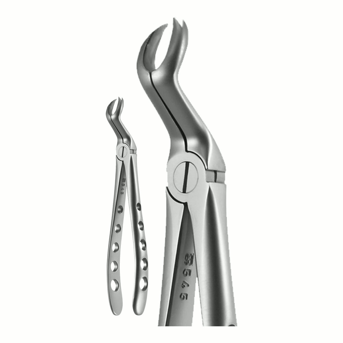 Upper 3rd Left Molar, 3 Prong X-Trac Forceps