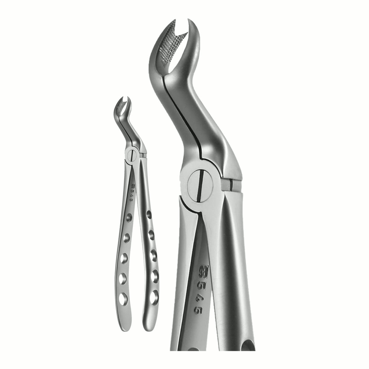 Upper 3rd Right Molar, 3 Prong X-Trac Forceps
