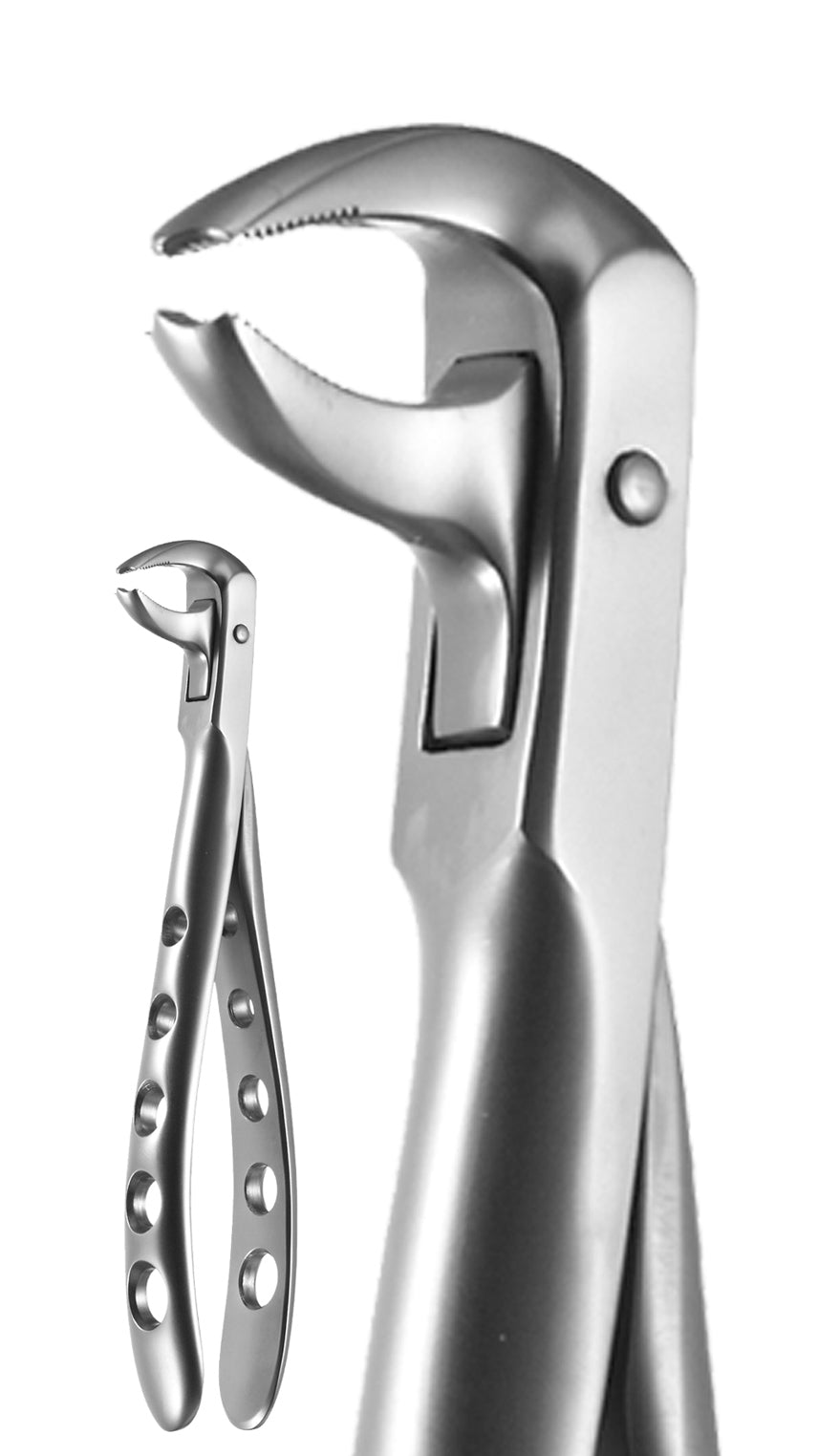 Lower Molar, Ash Pattern, X-Trac Forceps