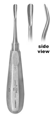 Cameron, Large Molar Elevator, Angled #300
