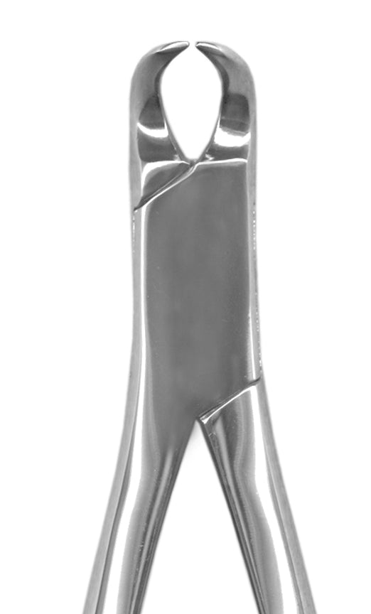 Lower Cowhorn