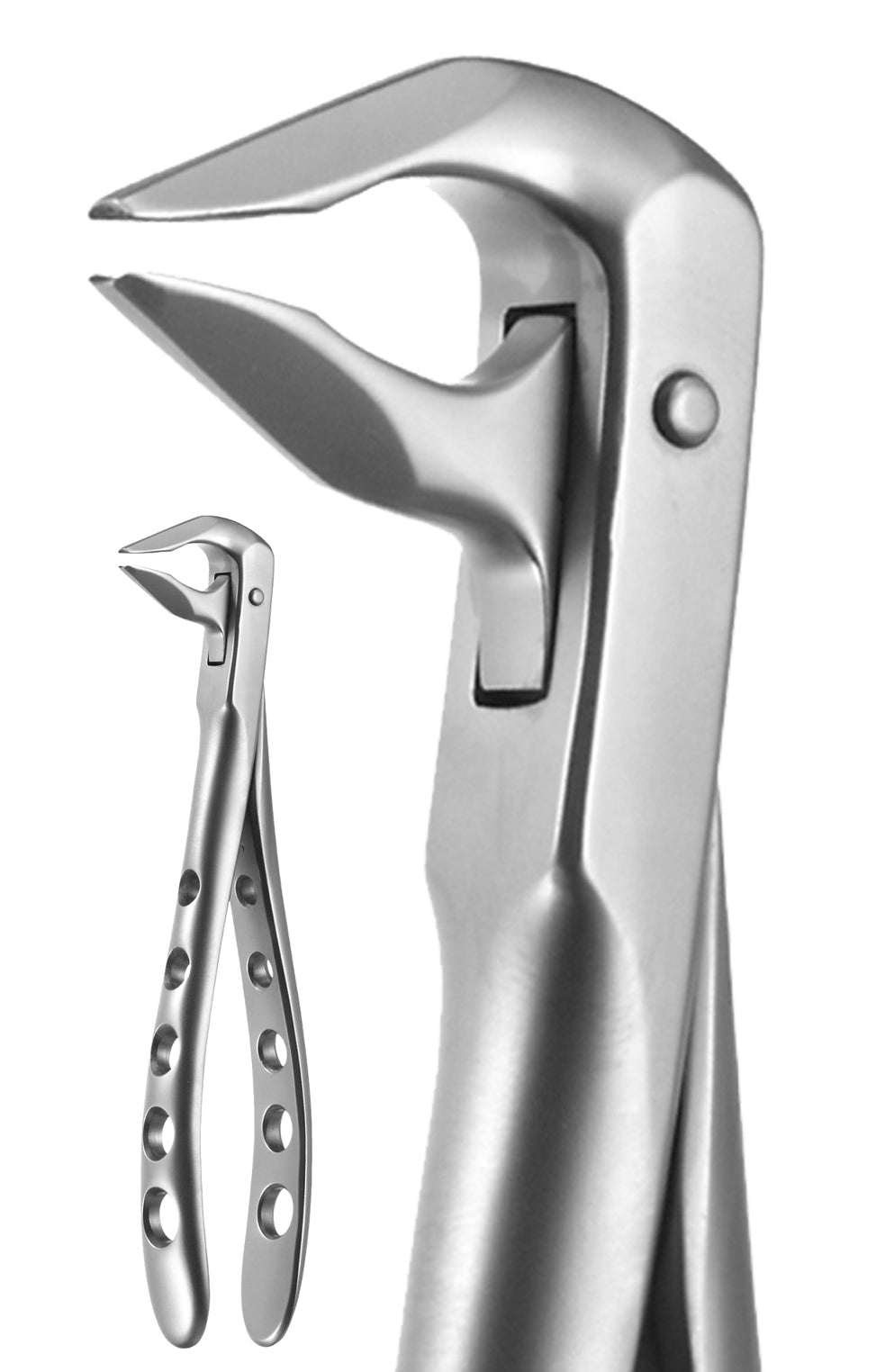 Lower Anterior, Beveled Beaks X-Trac Forceps