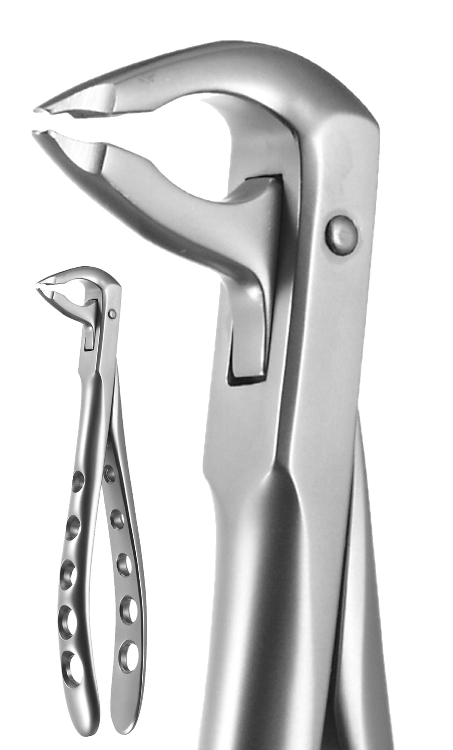 Lower Anterior, Notched Beaks, X-Trac Forceps