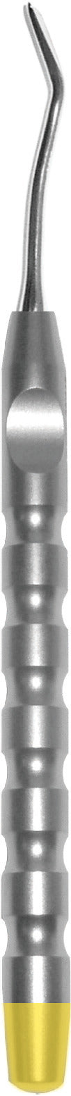 X-Otome Mesial, Large