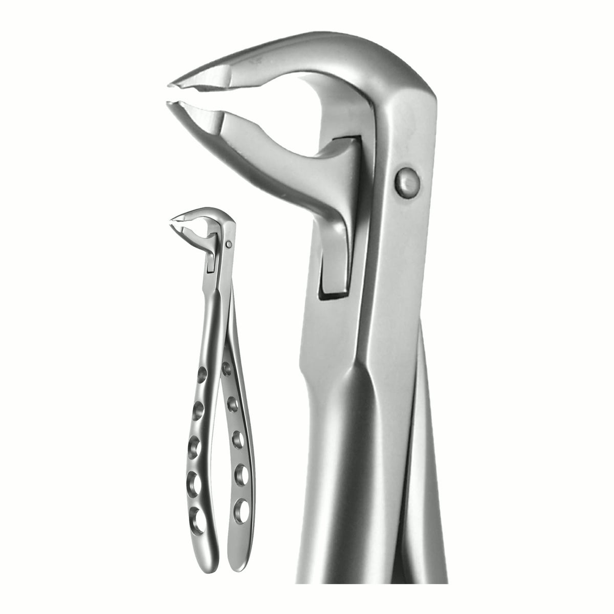 Lower Anterior, Notched Beaks, X-Trac Forceps