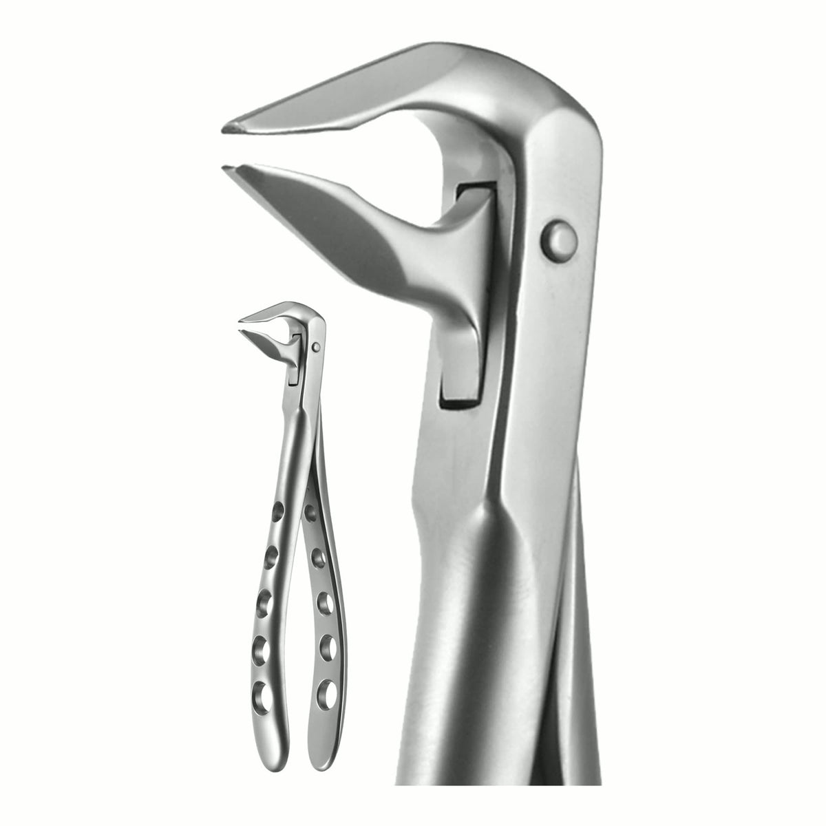 Lower Anterior, Beveled Beaks X-Trac Forceps