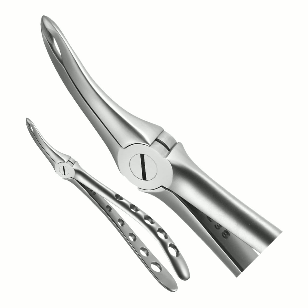 Universal Root, X-Trac Forceps