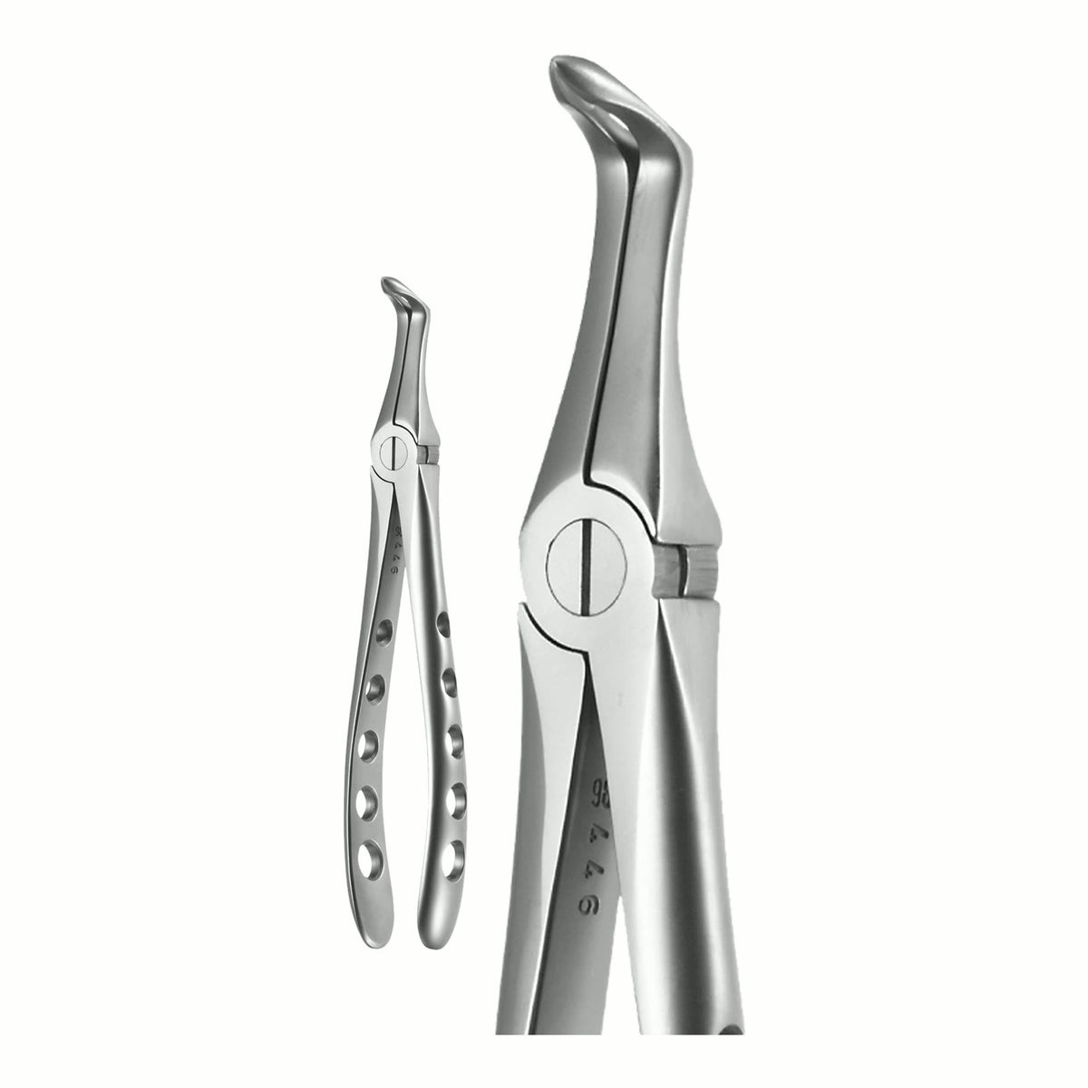 Lower Root X-Trac Forceps
