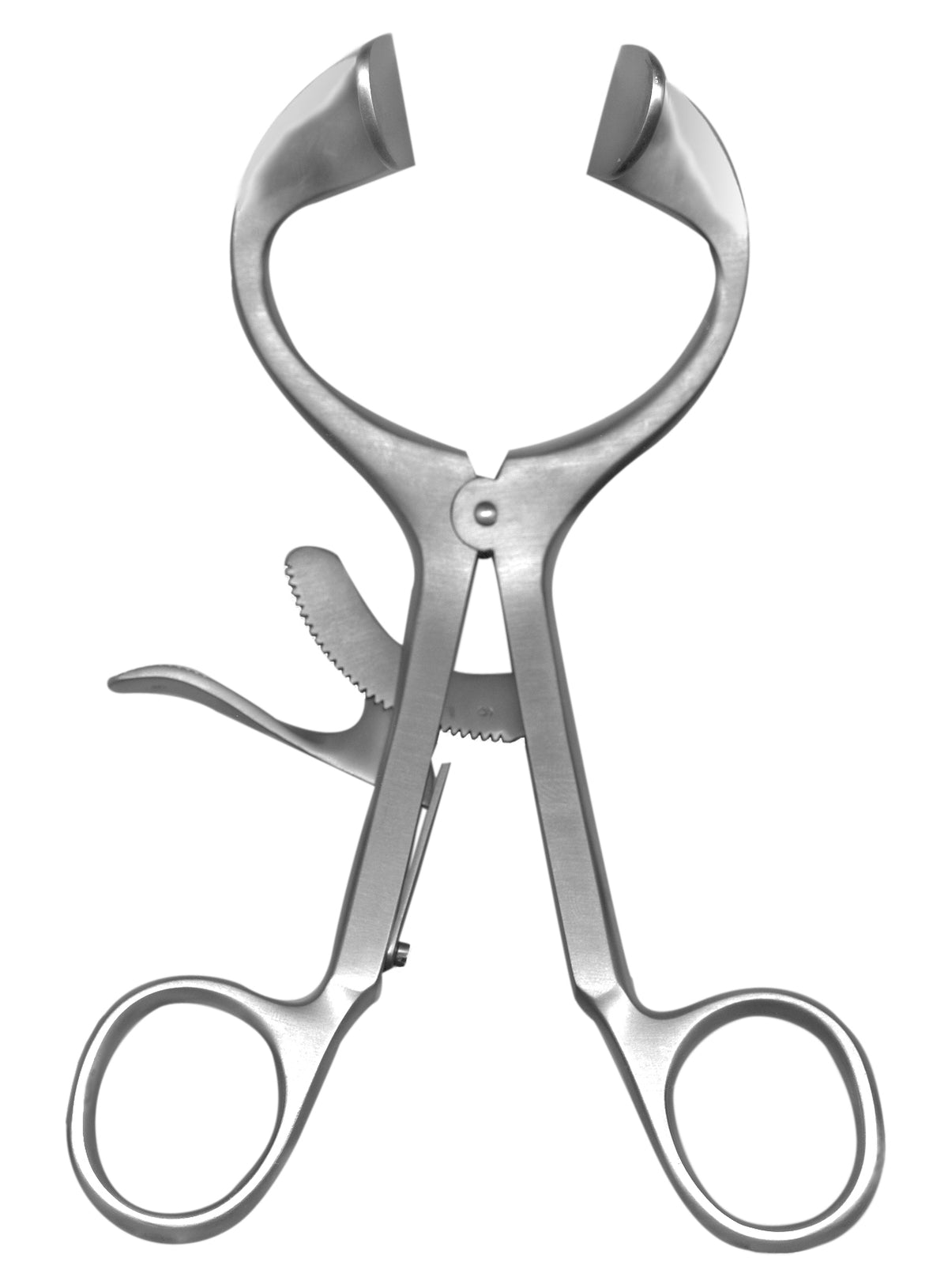 Molt Mouth Gag - Adult