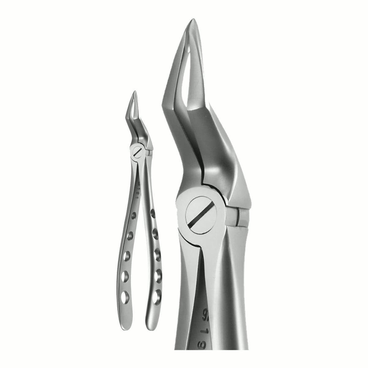 Upper Root Tip X-Trac Forceps