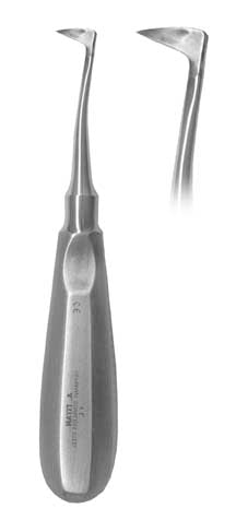 Large Seldin, Right - 1R