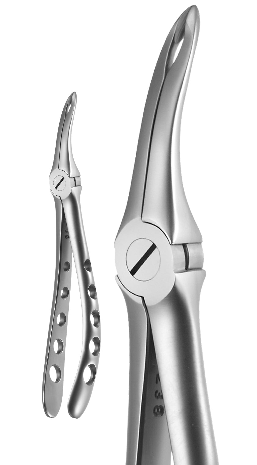 Universal Root, X-Trac Forceps