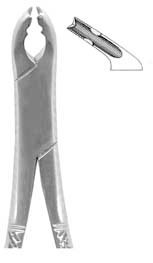 Standard Lower Universal Forceps with Notch